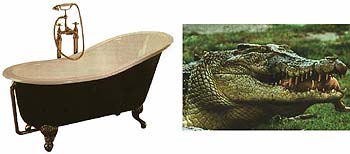 a bath and a crocodile head