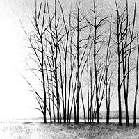 Landscape - drypoint by Shigeki Tomura